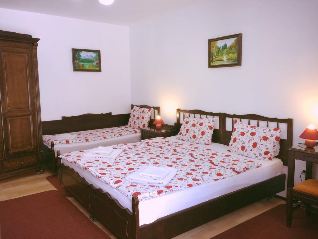 Casa Cu Cerdac Hotel Sighisoara Ngoại thất bức ảnh