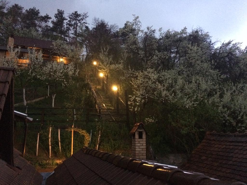 Casa Cu Cerdac Hotel Sighisoara Ngoại thất bức ảnh